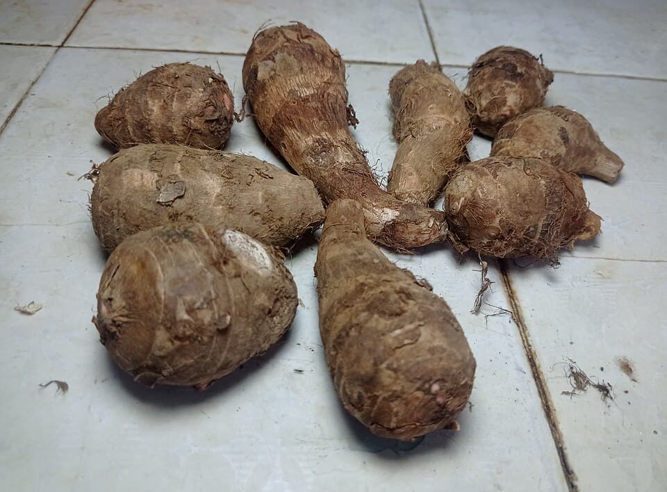 Taro Root (Boiled or Roasted)