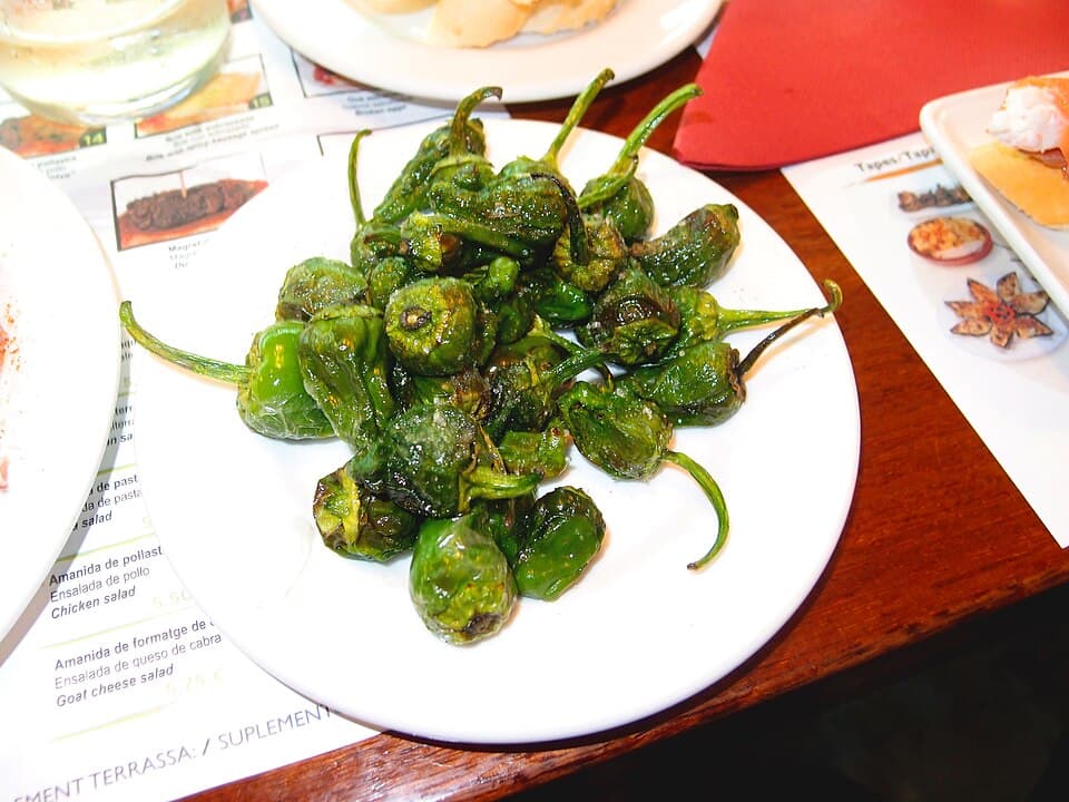 Pimientos de Padrón