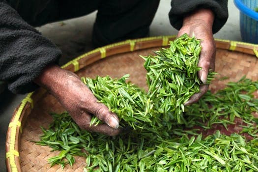Ceylon Tea (සිලෝන් තේ)