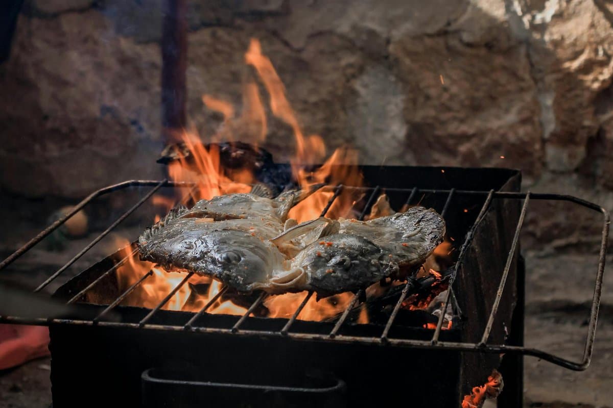 Grilled Fish with Rice