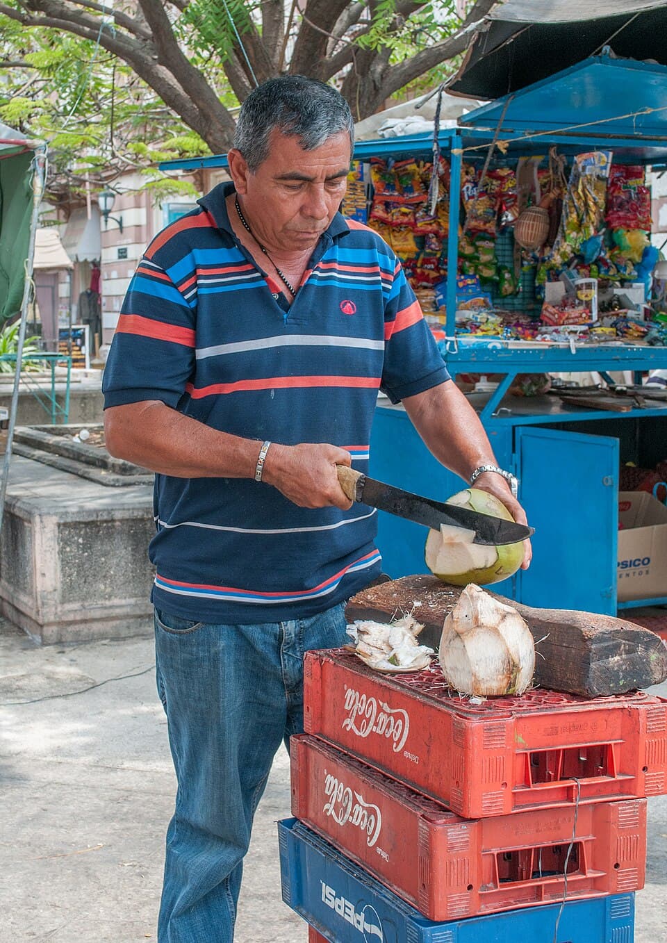 Fresh Coconut Water
