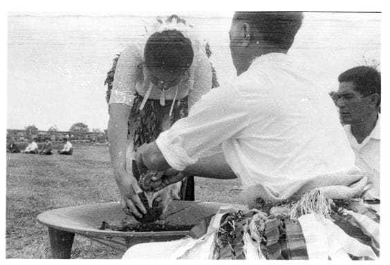 Kava
