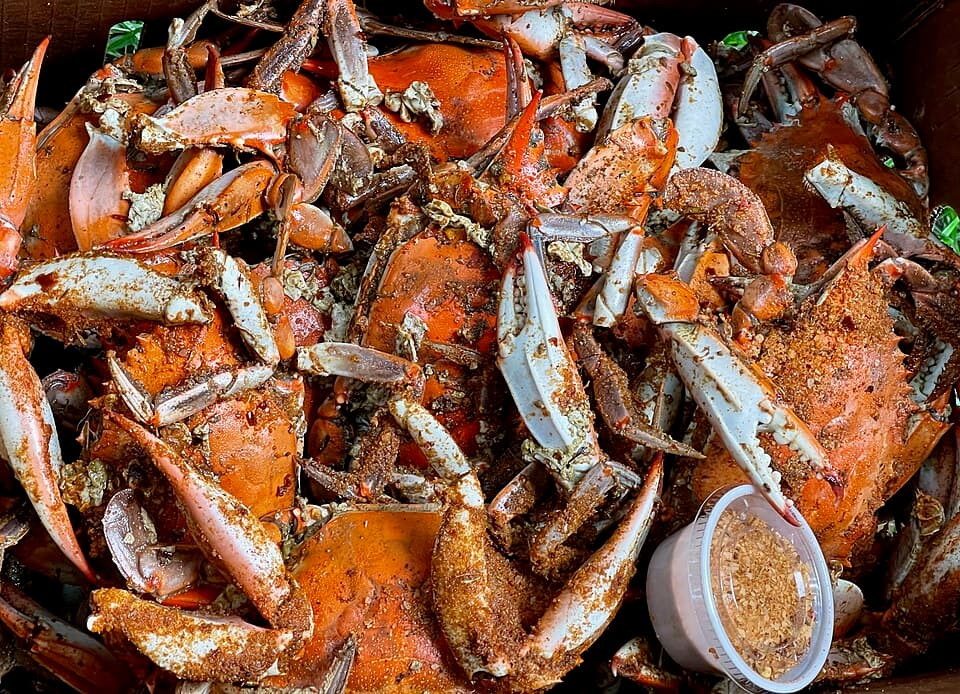 Maryland Blue Crab
