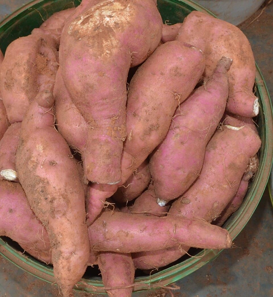 Mbambaira (Sweet Potatoes - Dessert Style)